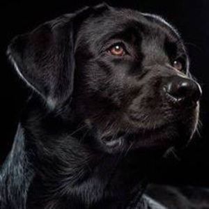 Meet your Posher, Margaret